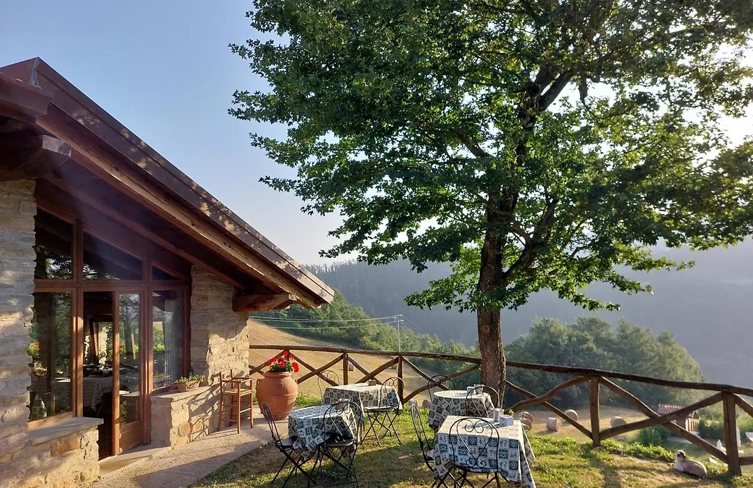 Agriturismo Ca' De' Magnani-1